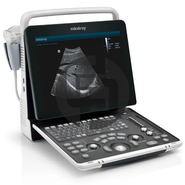 УЗИ аппарат Mindray DP-50 Vet
